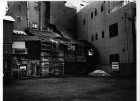 2011年度visionDM写真