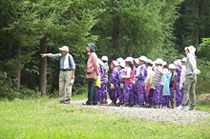 PICT0241