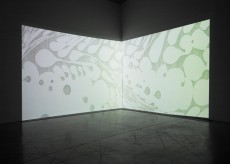 n_ACAC04