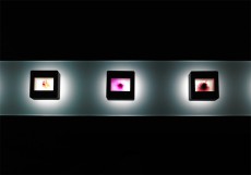 n_ACAC12