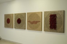 fig3PB-Installation09