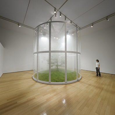 Typical Biosphere-small