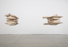tn_fig3_IMG_9730_RMver1