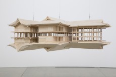 tn_fig4_IMG_1671_RMver2