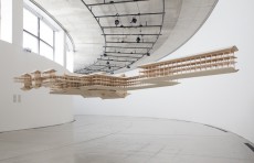 tn_fig6_IMG_6179_RMver4