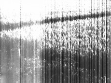 Still5
