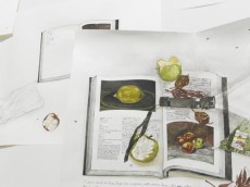 fig1