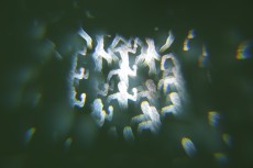 _MG_0463