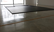 fig1