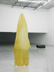 アン・スークーン 9