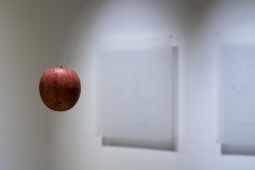 s_KNK0745